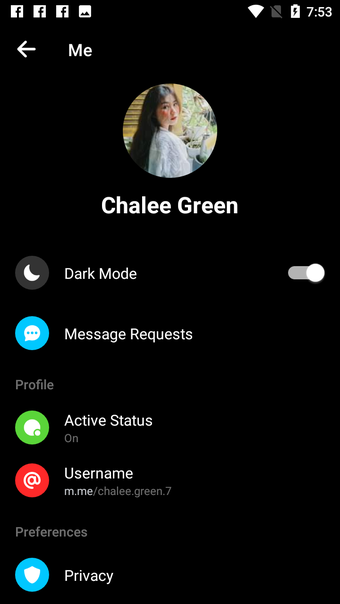 Messenger  Text and Video…的第2张图片
