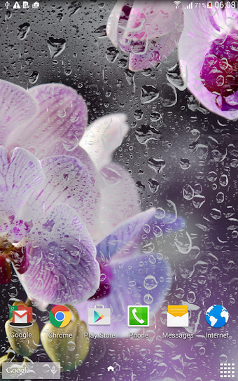 Orchids Live Wallpaper