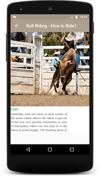 Learn Bull Riding