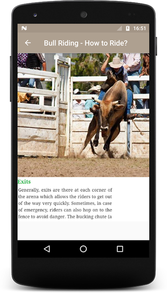 Learn Bull Riding