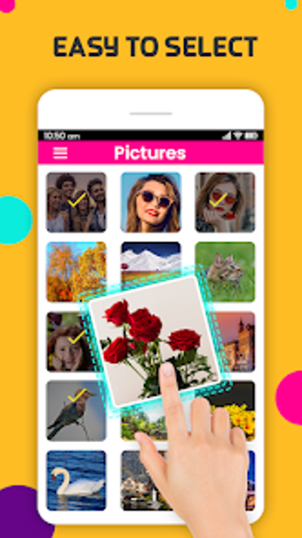 Image Search Photo Downlo…的第0张图片
