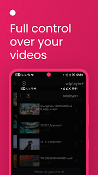 Image 0 for WIPLAYER