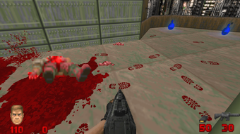 Obraz 0 dla Brutal Doom
