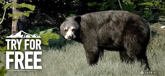 Obraz 0 dla WOTH Wild America: Try an…