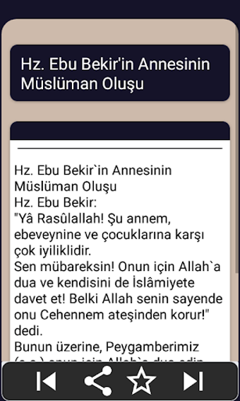 İslam Tarihi Ansiklopedisi