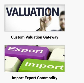 Image 0 for Pak Customs Information P…