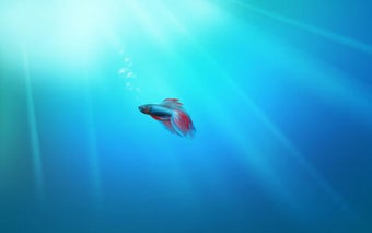 Windows 7 Wallpaper Pack的第3张图片