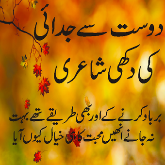 Immagine 0 per Dost se bicharne ki shaya…