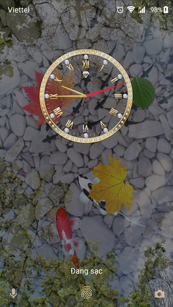 Koi fish @Xperia theme