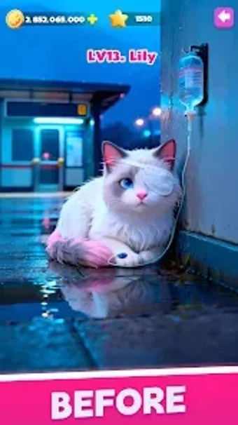 Bild 0 für Paw Retreat