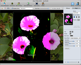 Download iMagePhone for Mac