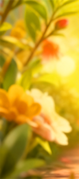 Immagine 0 per Nimbus Dash