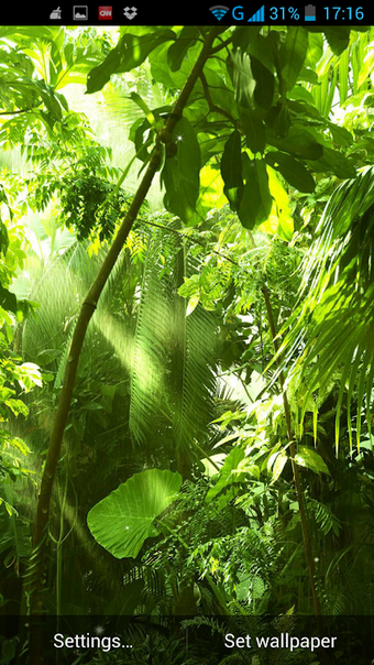 Bild 0 für Jungle Live Wallpaper