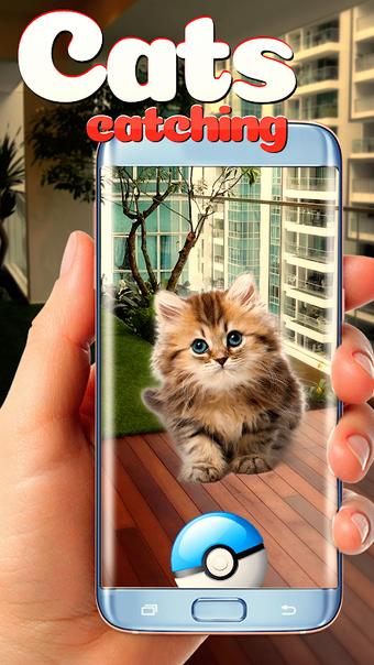 Bild 0 für Collect all cats!