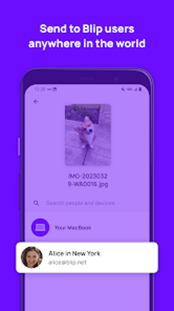 Immagine 0 per Blip File Transfer