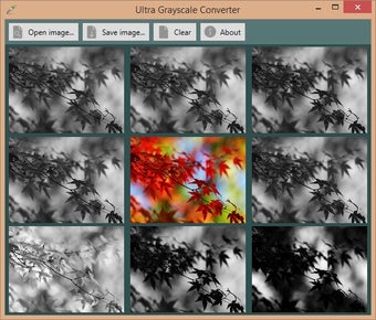 Image 1 pour Ultra Grayscale Converter