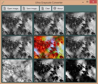 Obraz 1 dla Ultra Grayscale Converter