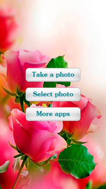 Image 0 for Roses Photo Frames