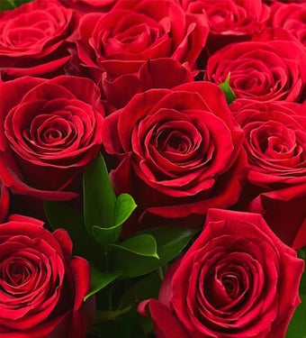 Bild 0 für Rose Wallpapers