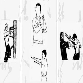 Image 0 pour Wing Chun Technique