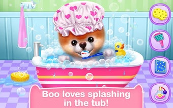 Boo  The Worlds Cutest Do…的第0张图片