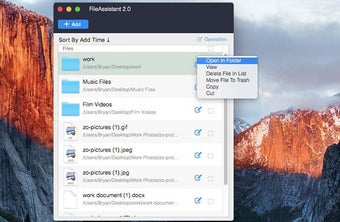 FileAssistant