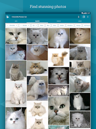 Obraz 0 dla Microsoft Bing Search