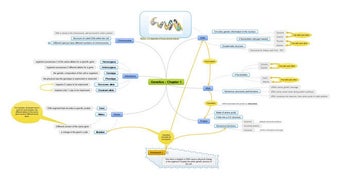 MindMaple Pro v1.3の画像0