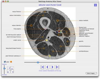 Bild 0 für RAAViewer