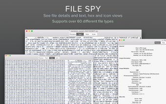 File Spy - View and Exami…の画像0