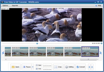 Image 4 pour Free Video to GIF Convert…