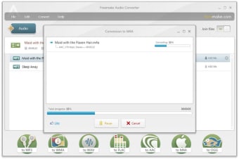 Download Freemake Audio Converter 1.1.9 for Windows - Filehippo.com