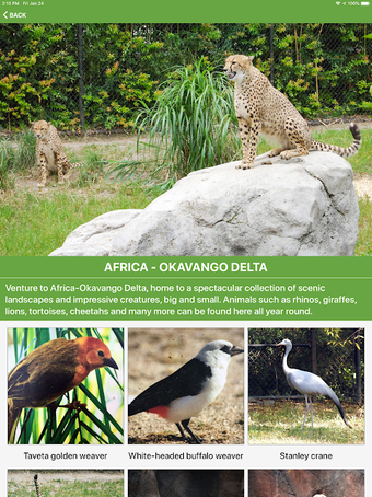 Imagen 0 para Virginia Zoo