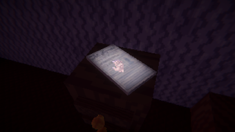 Immagine 0 per Shadowed Home
