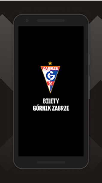 Imagen 0 para Bilety Górnik Zabrze