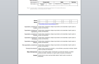 European CV