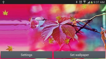 Image 0 for Maple Leaf Live Wallpaper
