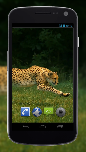 Immagine 0 per 4K Cheetah Sprint Live Wa…