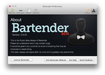 Imagen 0 para Bartender
