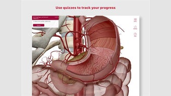 Anatomy & Physiology: Intro of Human Body Systems