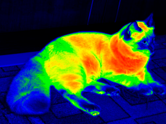 Obraz 0 dla Thermal Camera: Best Ther…