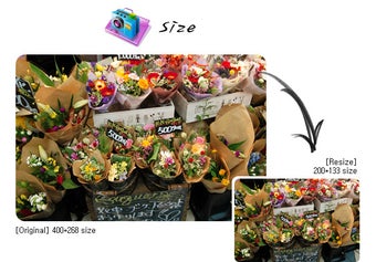 Image 11 for PhotoScape