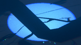 Image 3 for a catfiend's impending re…