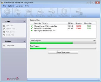 Obraz 3 dla FILEminimizer Pictures