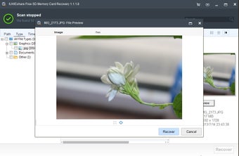 SD Memory Card Recovery的第0张图片