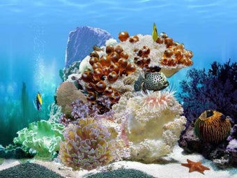 Amazing 3D Aquarium