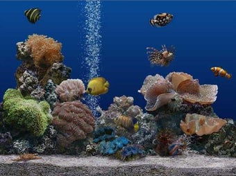 SereneScreen Marine Aquarium