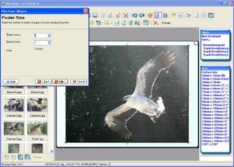 Image 0 for Pics Print