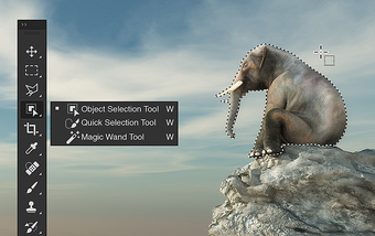 Immagine 1 per Adobe Photoshop CC