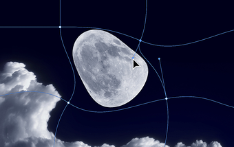 Immagine 4 per Adobe Photoshop CC
